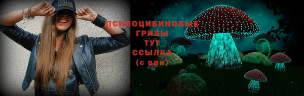 соль ск Лагань