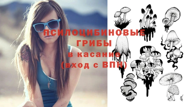 соль ск Лагань