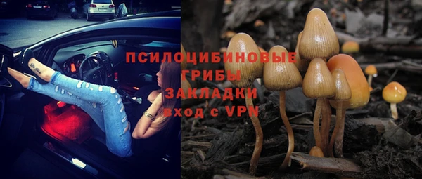 PSILOCYBIN Ладушкин